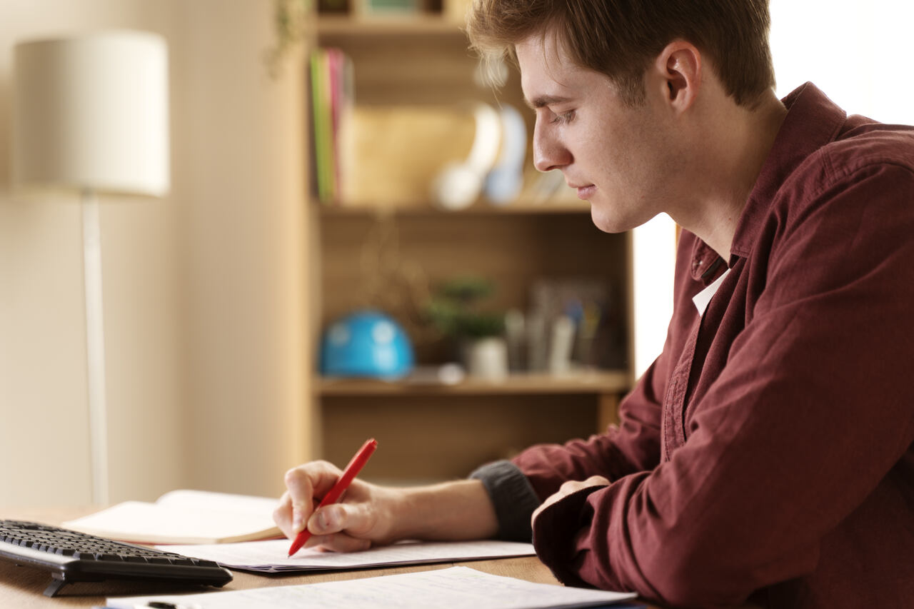 Jovem faz anotações olhando para seu notebook 